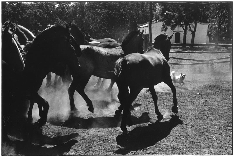 ARGENTINA. 1972. (PAR83997)