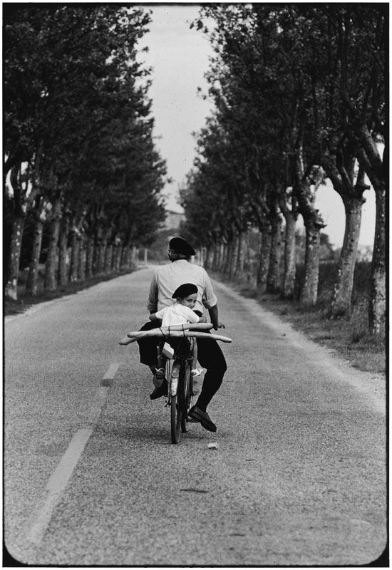 FRANCE. Provence. 1955. (NYC15333)