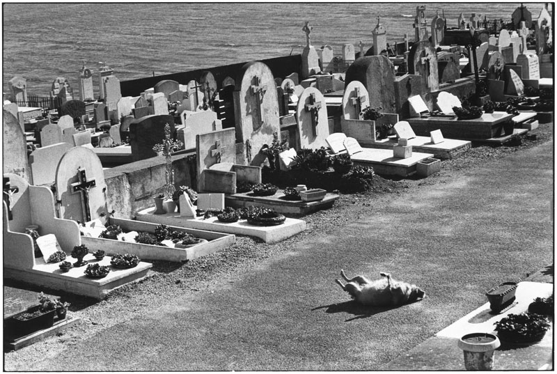 FRANCE. Saint Tropez. 1979. (NYC6327)