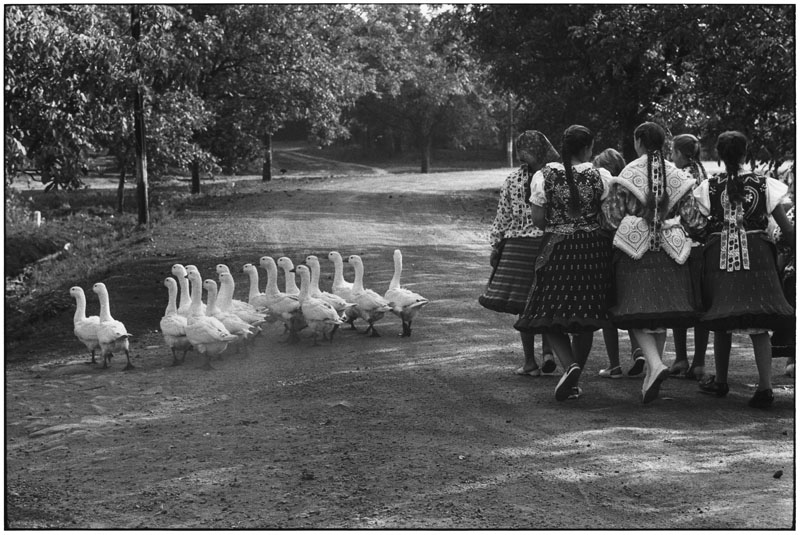 HUNGARY. 1964. (NYC13670)