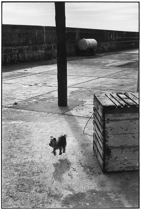 IRELAND. Ballycotton. 1968. (NYC13718)