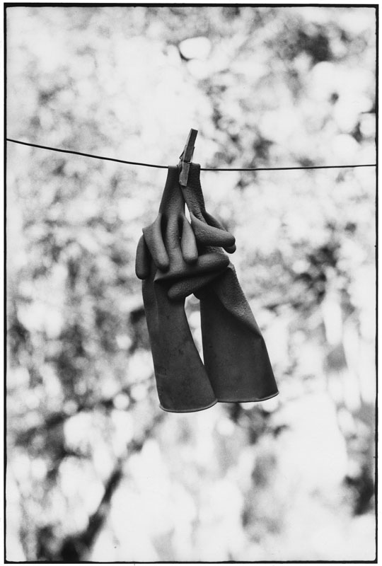 ITALY. Sicily. 1965. (NYC13693)