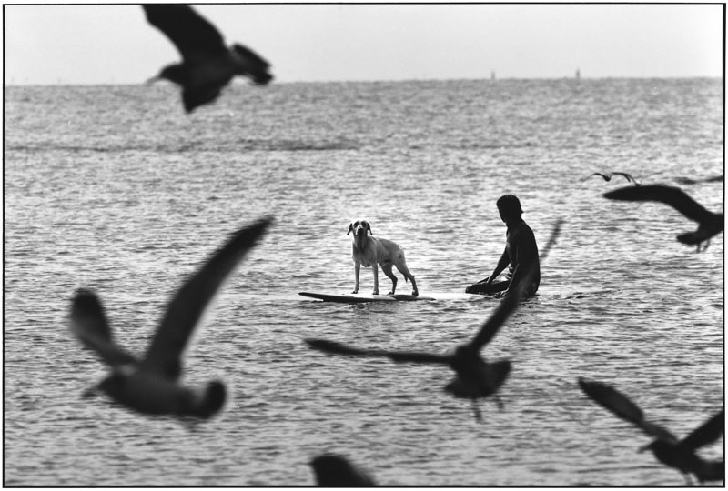 JAPAN. Enoshima. 2003. (NYC84007)
