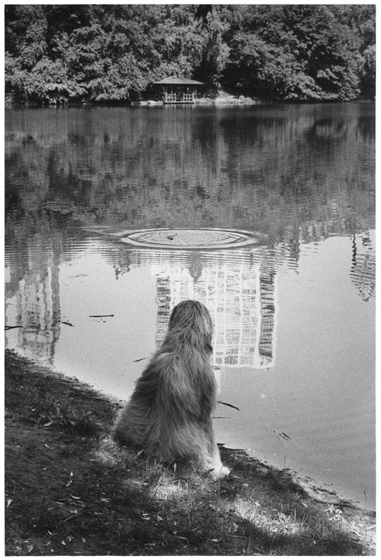 USA. Central Park, New York City. 1990. (PAR83290)