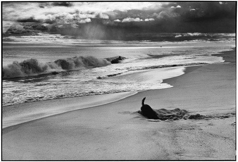 USA. East Hampton, New York. 1998. (NYC18988)