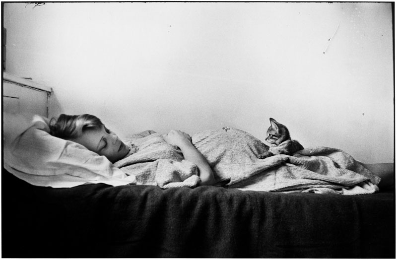 USA. New York City. 1953. (NYC54003)